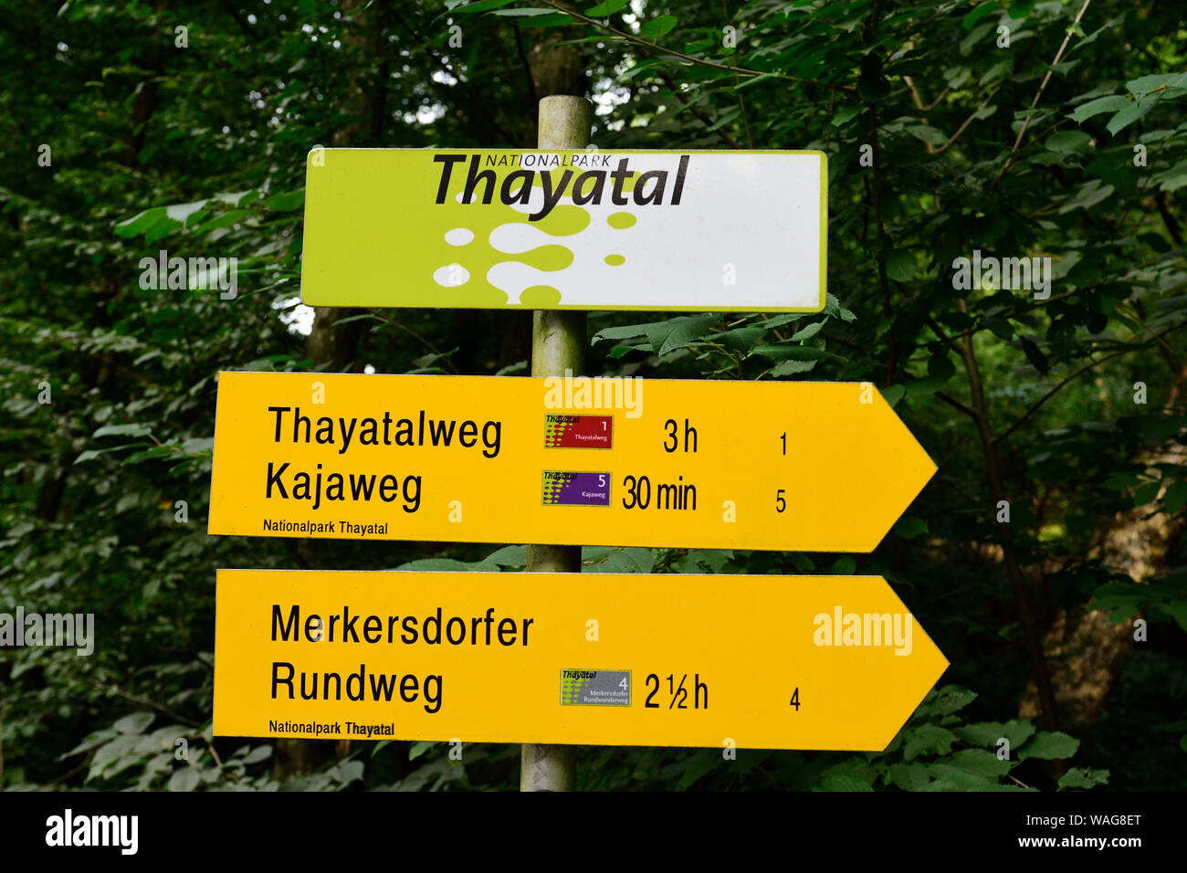 Hardegg, Basse-Autriche, Autriche. Le parc national de Thayatal, ainsi que le parc tchèque Národní Podyjí Banque D'Images