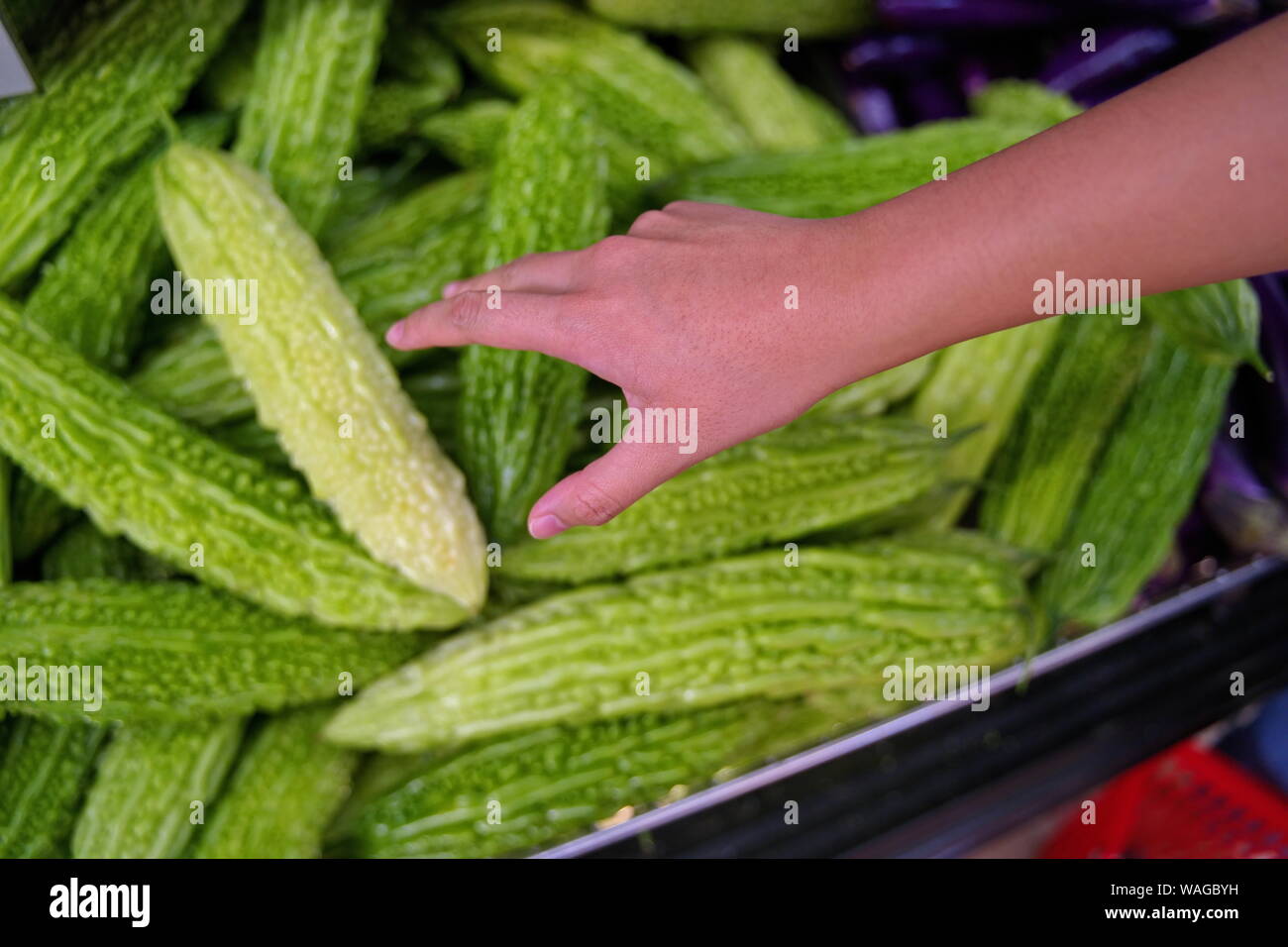 Melons sucre Banque de photographies et d’images à haute résolution Alamy