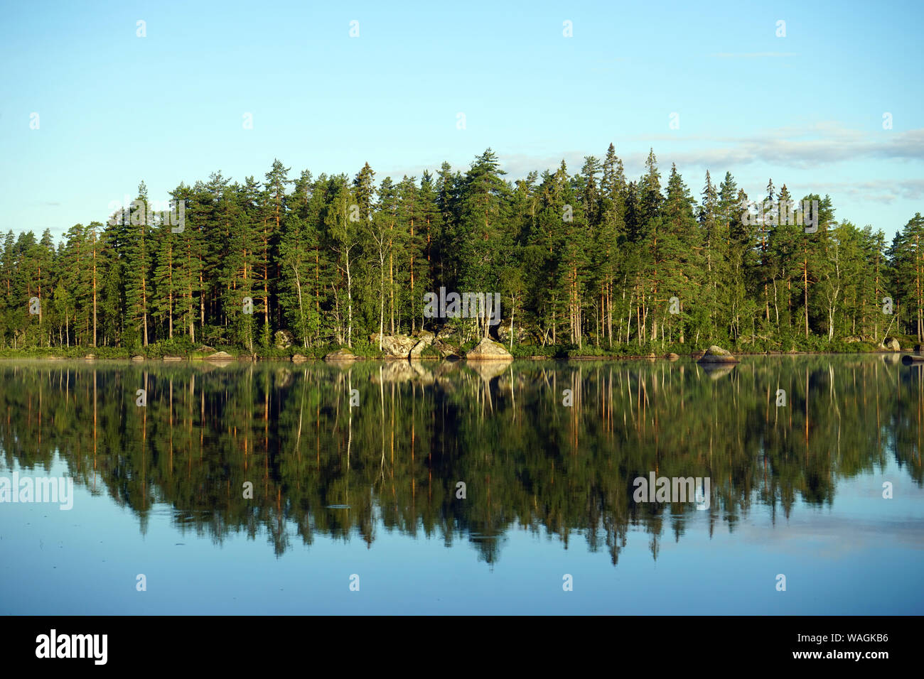 Forêt de réflexions dans le lac en Suède Banque D'Images