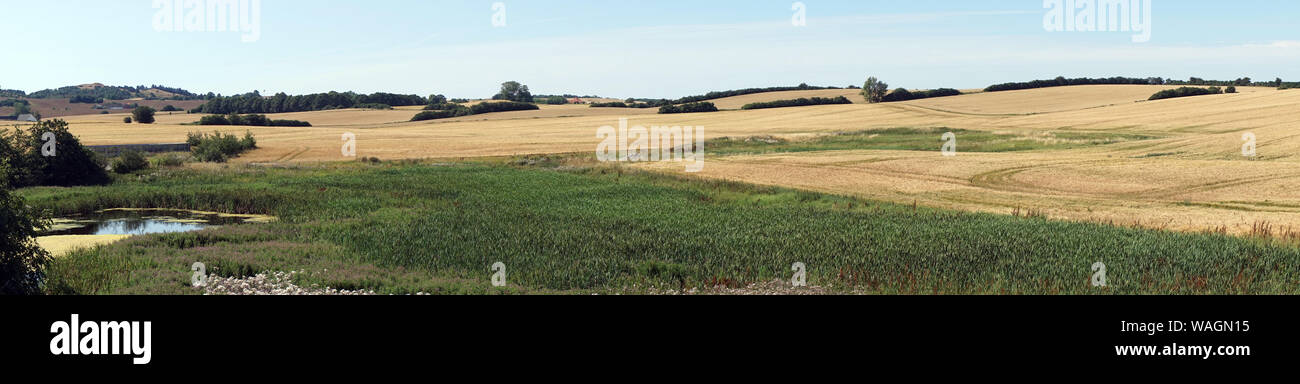Panorama du champ de blé et le lac Banque D'Images