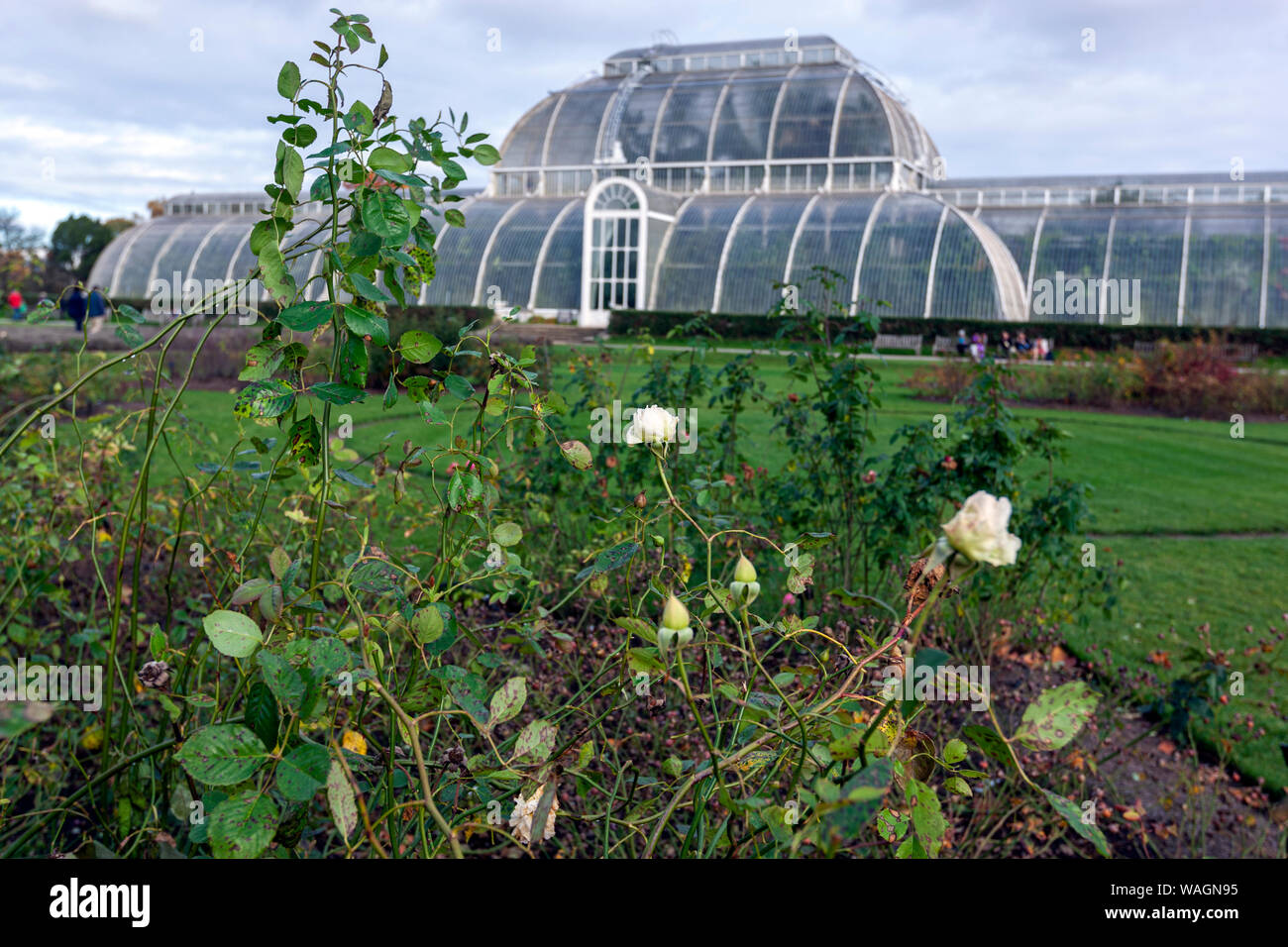 La Palm House, serre, par Charles Lanyon,à Royal Botanic Gardens, Kew, London Borough of Richmond upon Thames, Angleterre, Royaume-Uni, Banque D'Images