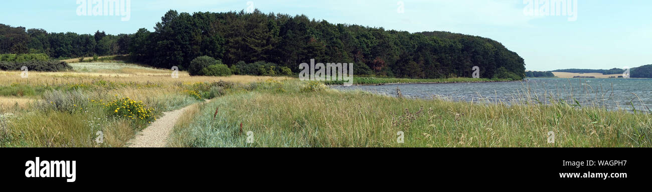 Panorama de la côte de la mer Baltique ofDenmark Banque D'Images