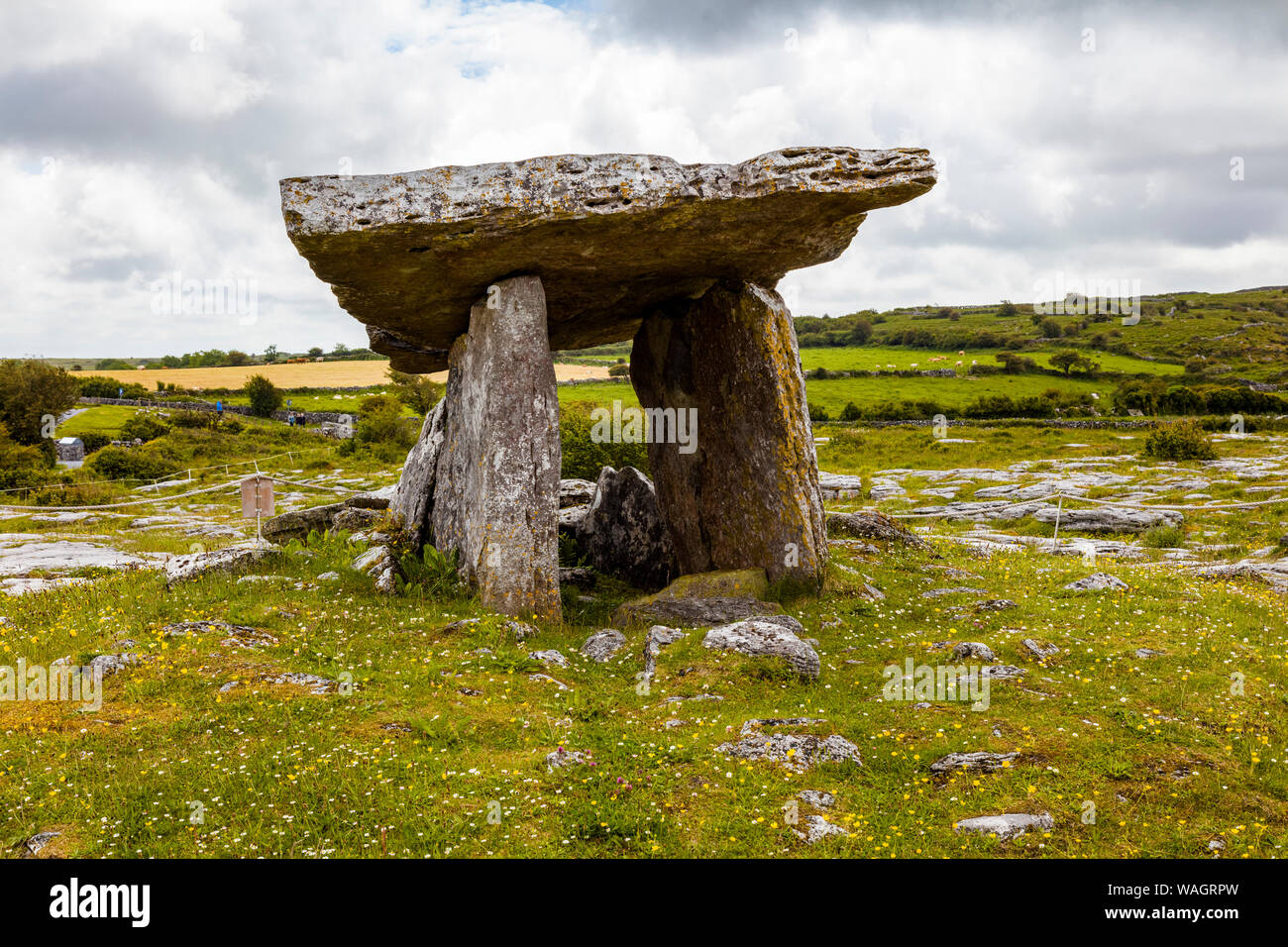 Portail tombe mégalithique construite en quatrième millénaire avant J.-C. dans la région de Burren de l'Irlande Banque D'Images