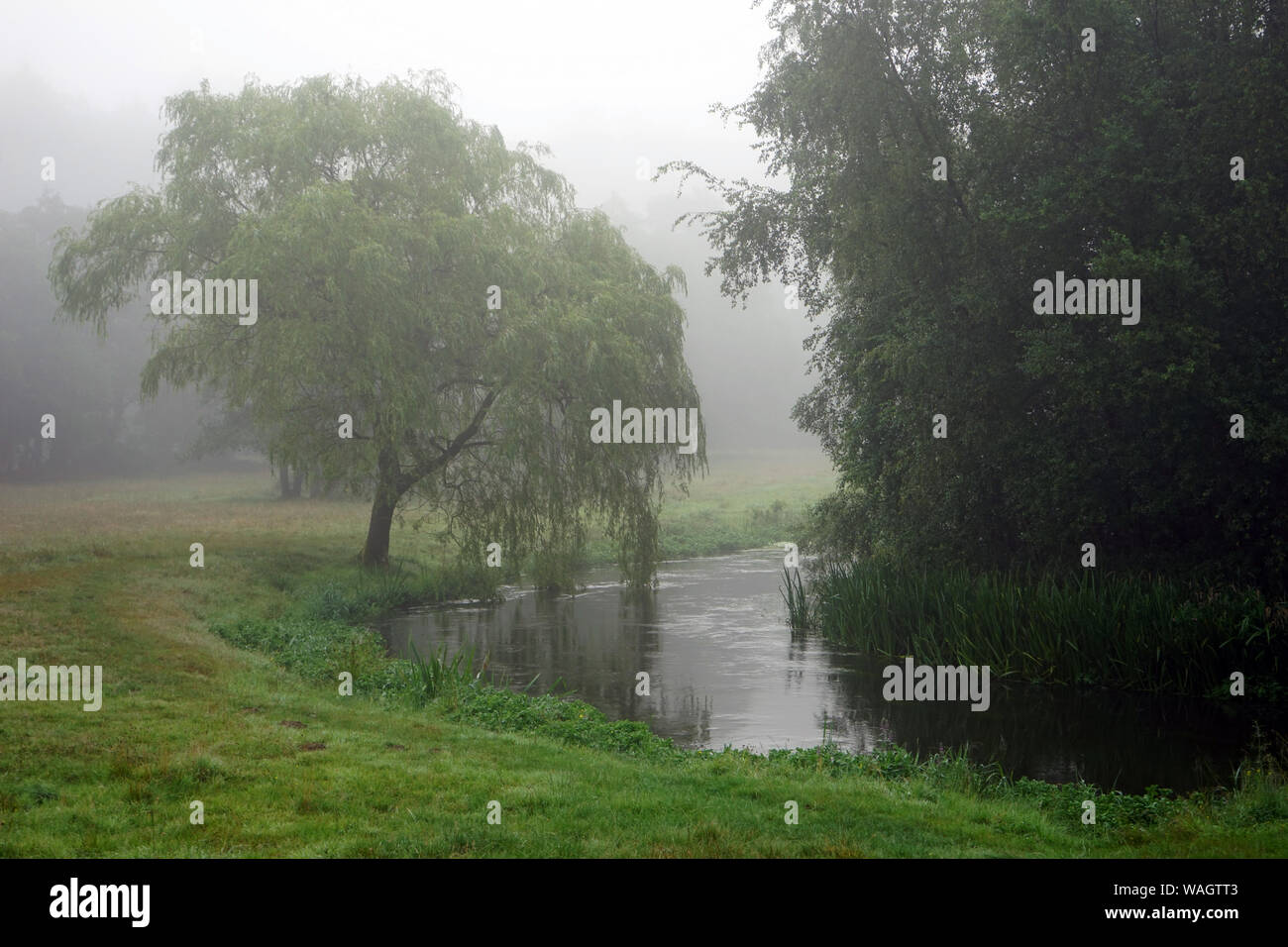 Mist et river au Danemark Banque D'Images