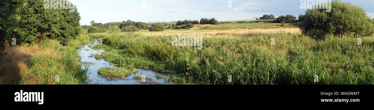 Panorama de la rivière et les pâturages au Danemark Banque D'Images