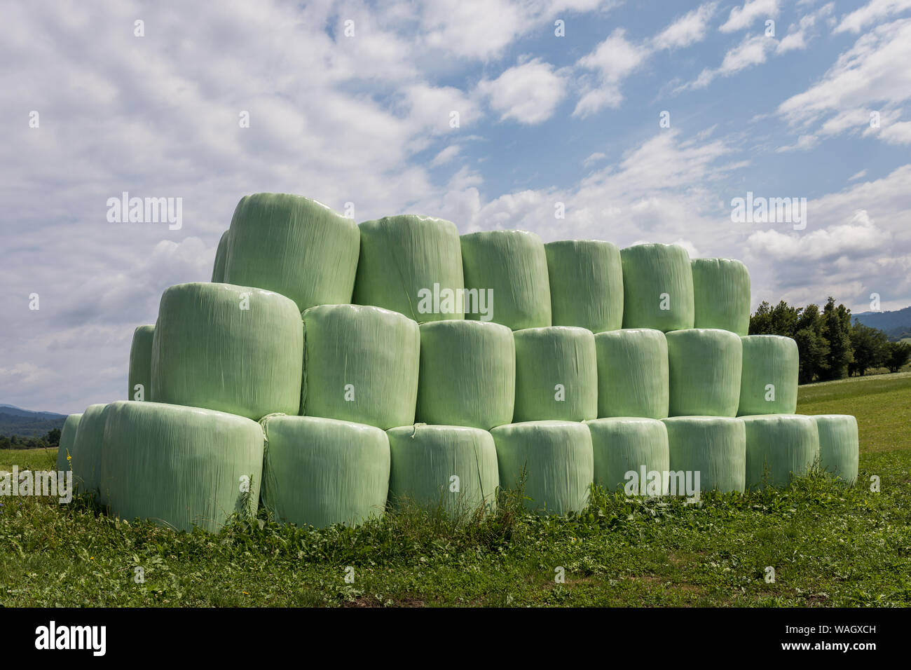 Balles de foin ensilage à Planinsko polje (Planina plain), Slovénie Banque D'Images