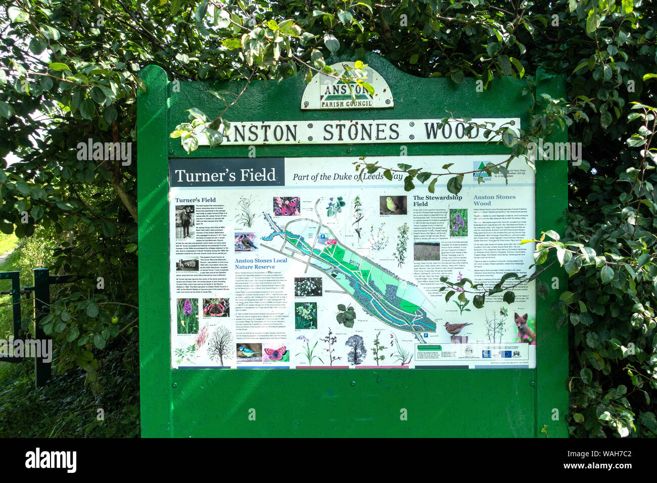 Informations Inscription au bord de manches à pied chemin forestiers, Angleterre Banque D'Images
