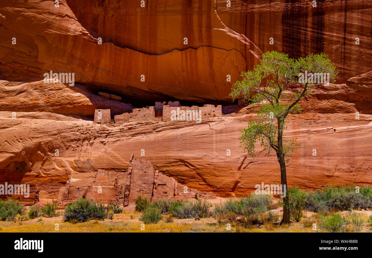 Ruines de la Maison Blanche, Canyon de Chelly National Monument Banque D'Images