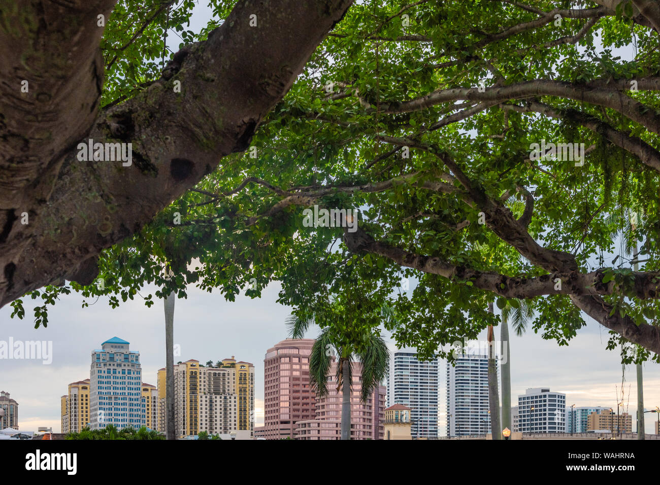 Skyline West Palm Beach de Palm Beach, en Floride. (USA) Banque D'Images