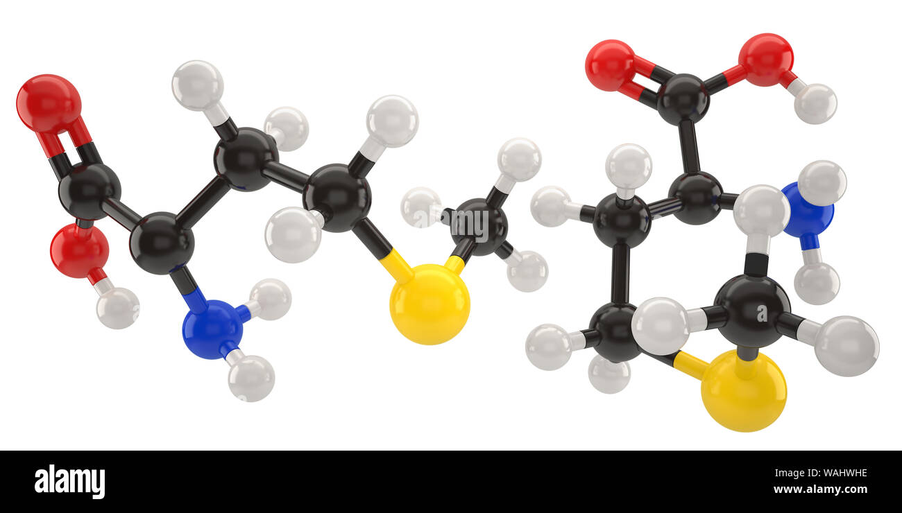 Molécule méthionine structure 3d illustration with clipping path Banque D'Images