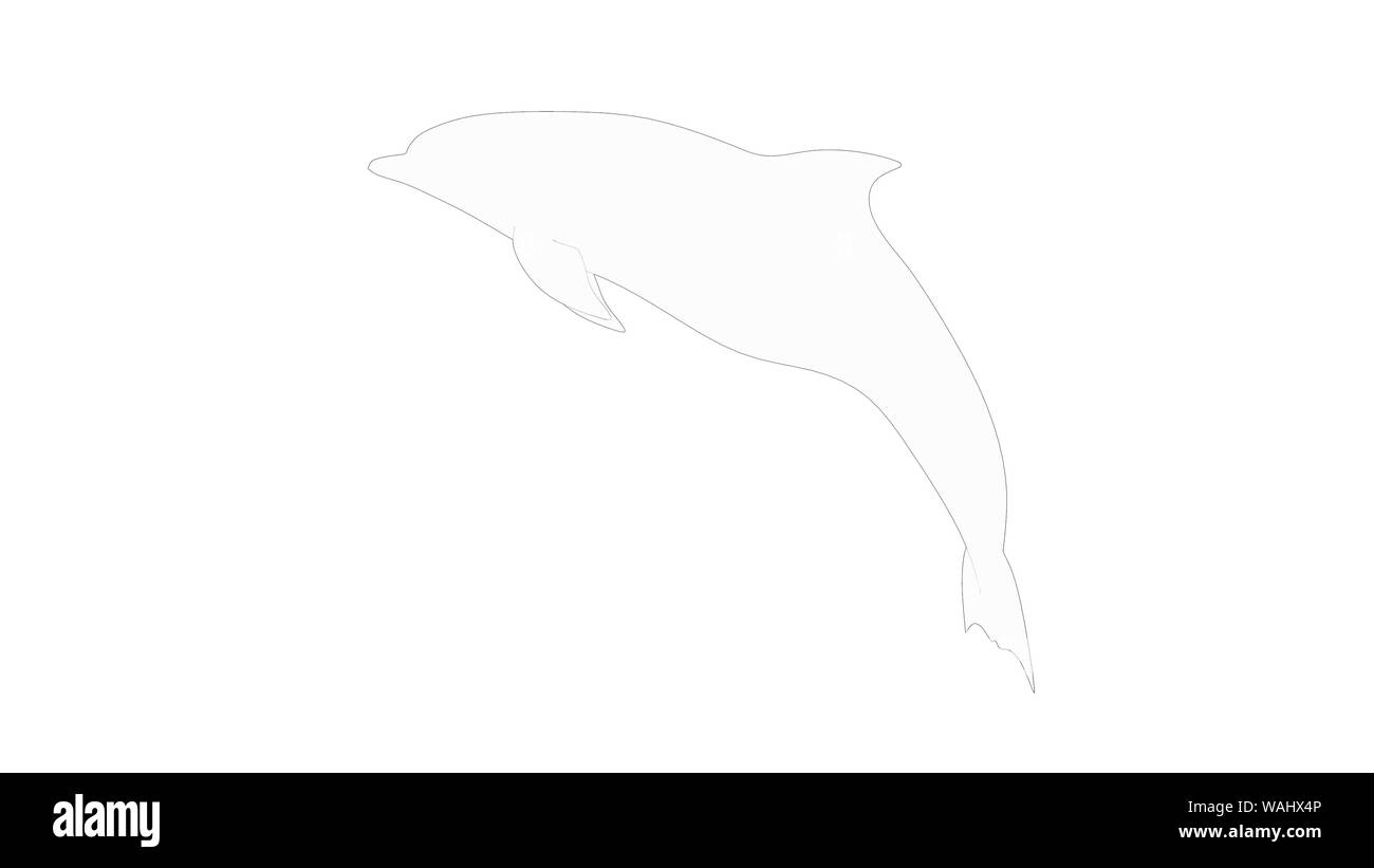 Rendu 3D Dolphines et modèle d'ordinateur isolé au fond studio blanc Banque D'Images