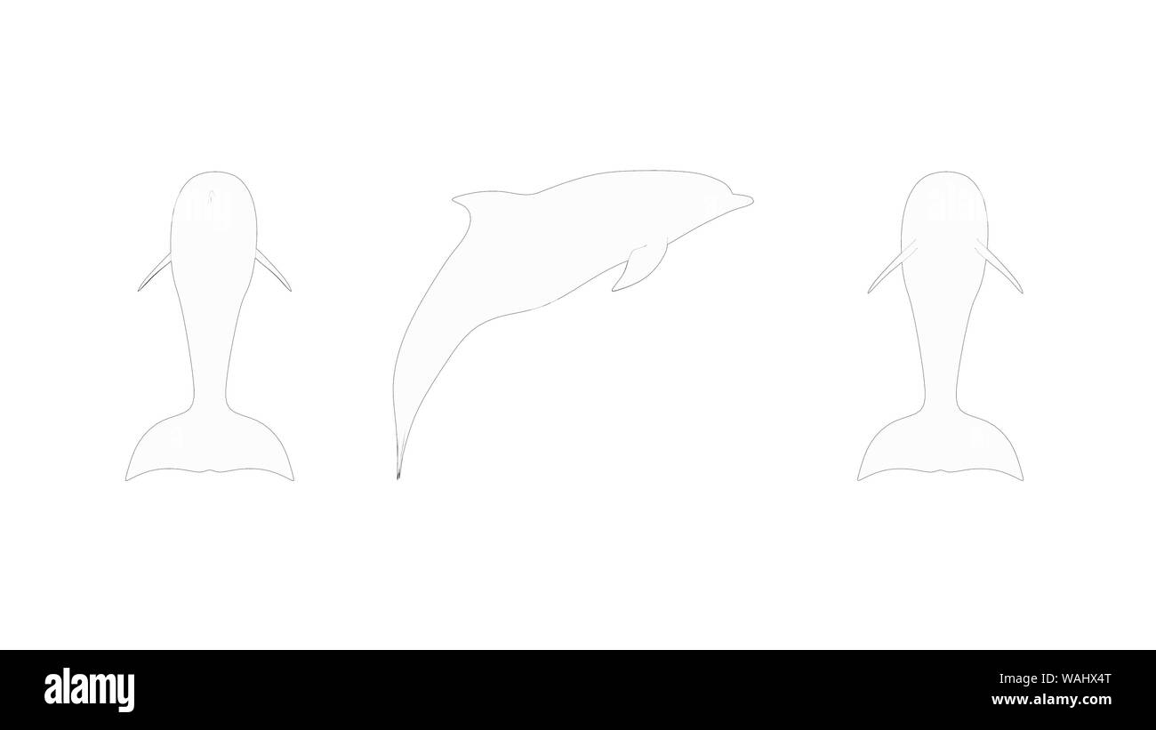 Rendu 3D Dolphines et modèle d'ordinateur isolé au fond studio blanc Banque D'Images