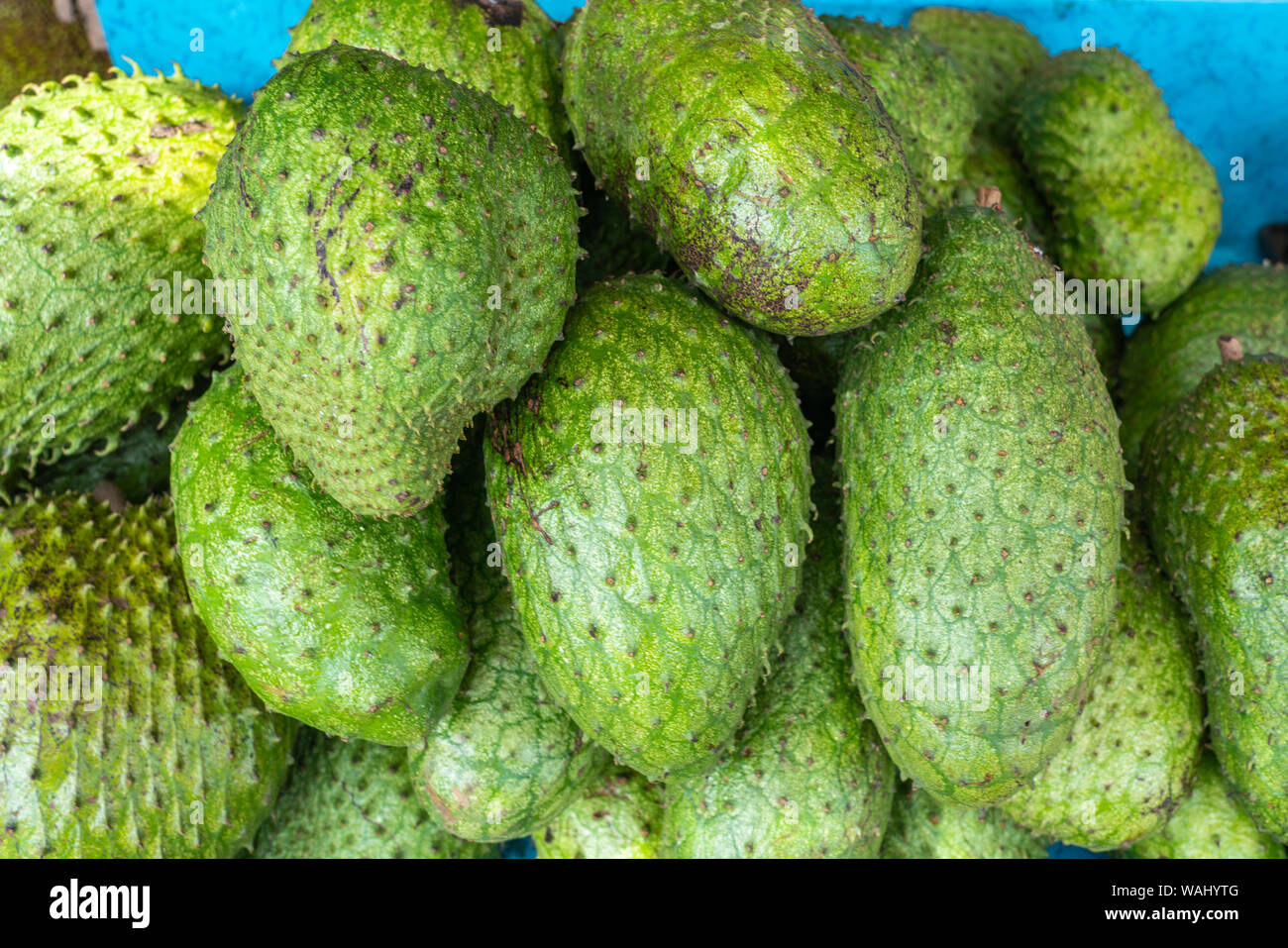 Annona muricata corossol fruit pour la vente au marché aux Philippines Banque D'Images