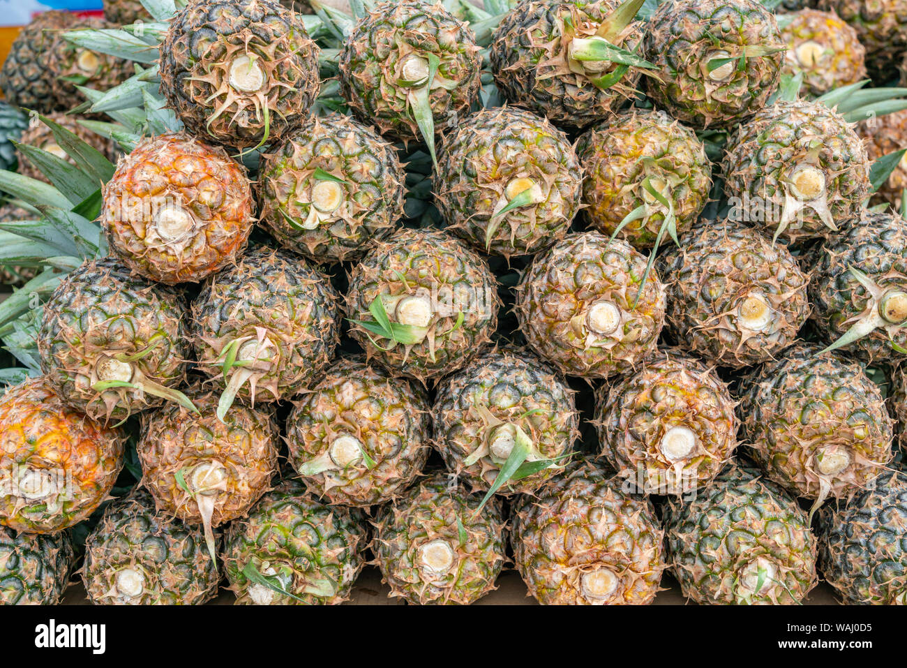 Pile de l'ananas frais à la vente à étal de fruits tropicaux Banque D'Images