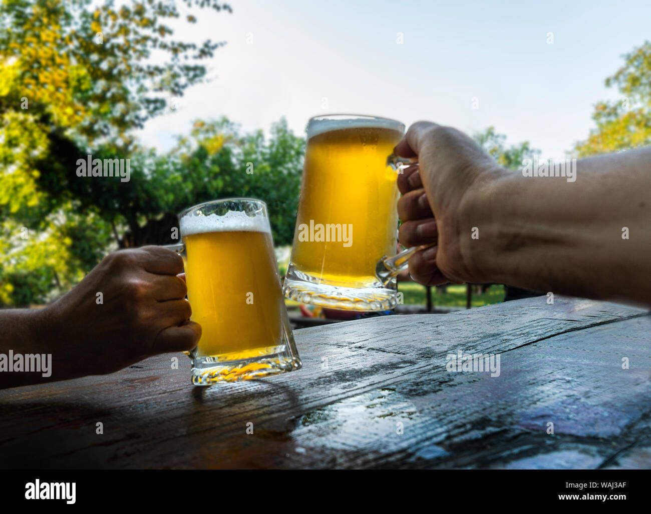 Le pain grillé avec deux verres de bière Banque D'Images