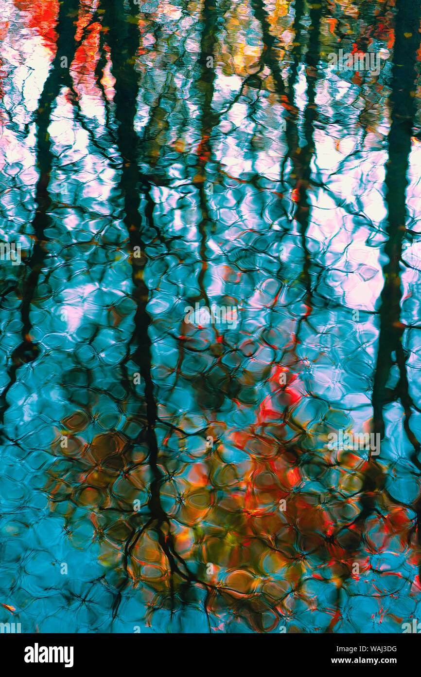 Réflexion floue de couleur de l'arbre en automne, dans la fraîcheur de l'eau bleu. Jaune, rouge et pittoresque feuilles orange lumineux, couleurs d'automne. Cadre naturel magnifique Banque D'Images