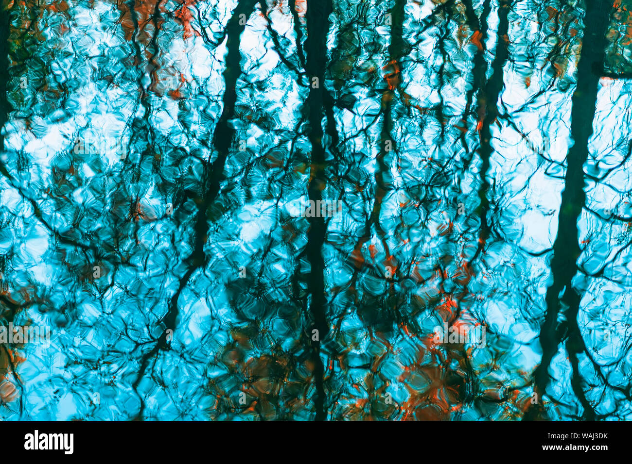 Réflexion floue de couleur de l'arbre en automne, dans la fraîcheur de l'eau bleu. Les feuilles colorées pittoresques, des couleurs d'automne. Zone floue naturel magnifique Banque D'Images