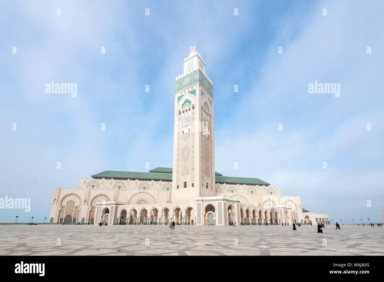 L'Afrique, Maroc, Casablanca. Close-up de l'extérieur de la mosquée. En tant que crédit : Bill Young / Jaynes Gallery / DanitaDelimont.com Banque D'Images