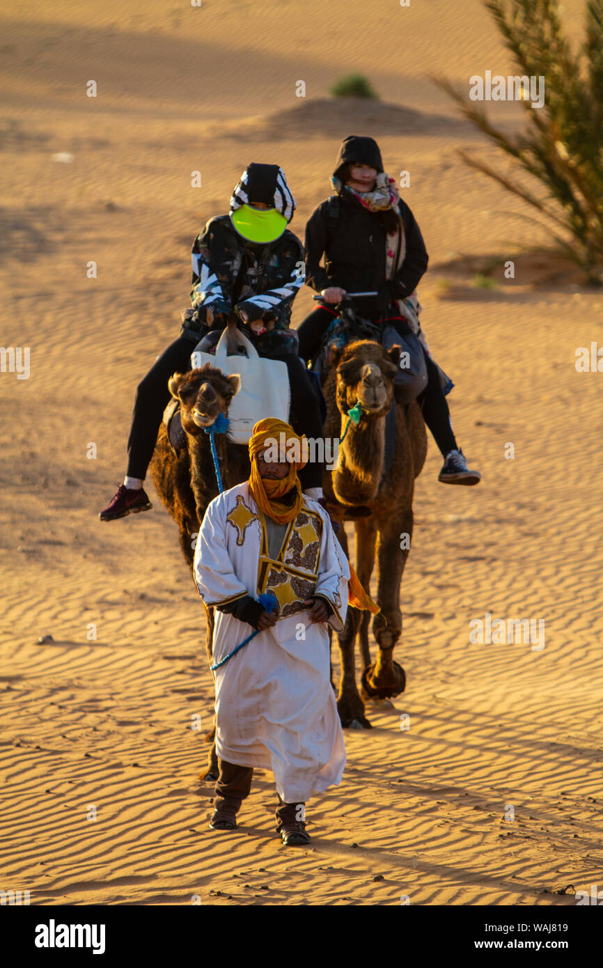 Merzouga, Erg Chebbi, désert du Sahara, le Maroc. Randonnée chamelière Banque D'Images