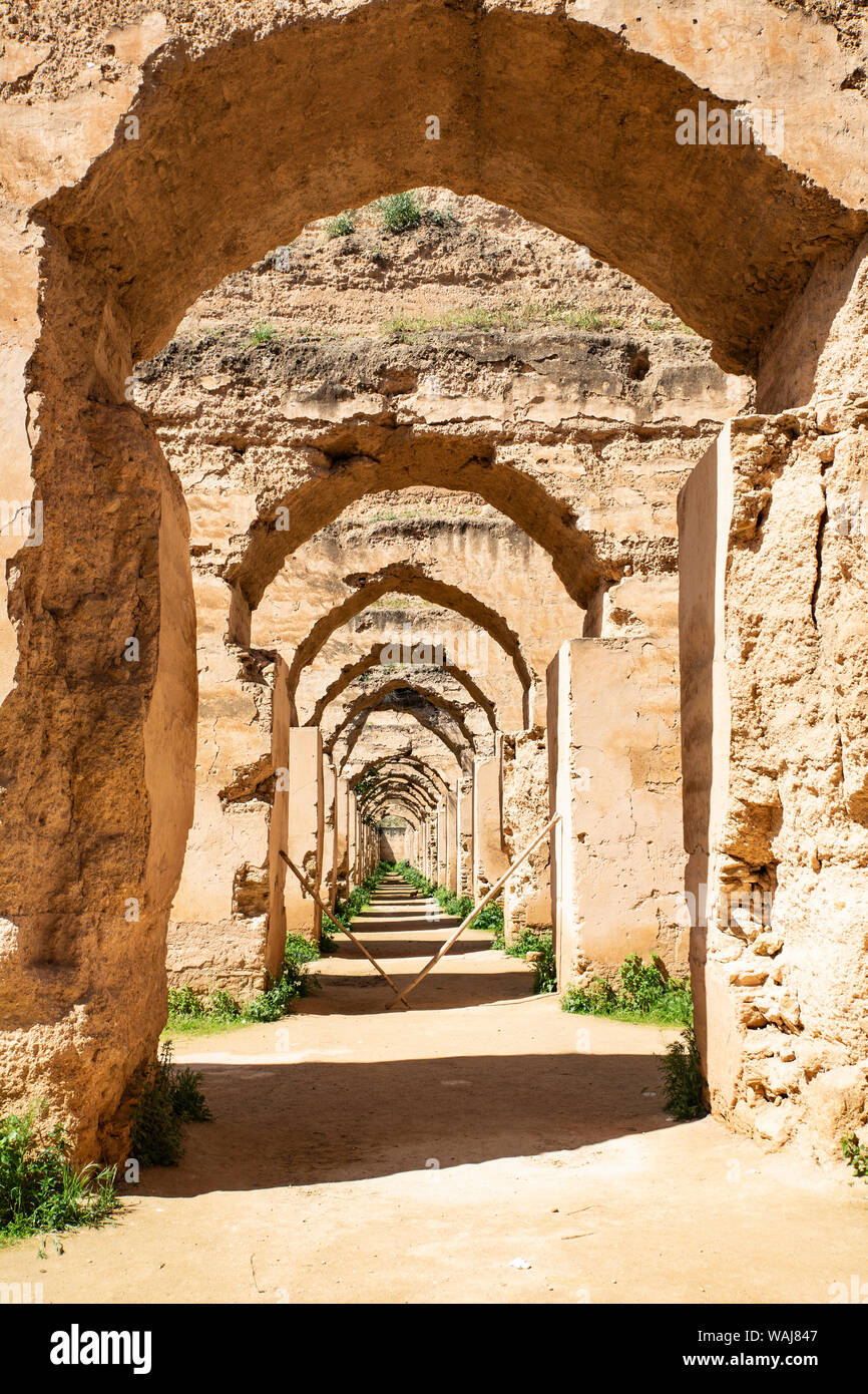 Meknes, Maroc. Les arcades en pierre au Royal d'équitation Banque D'Images