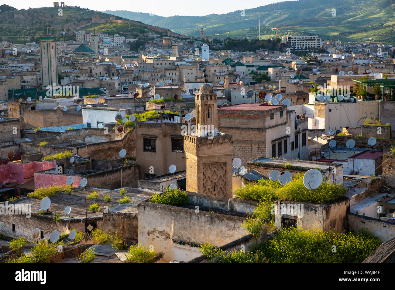 Fes, Maroc. L'ancienne ville de Fès, ses mosquées et toits de tuile Banque D'Images