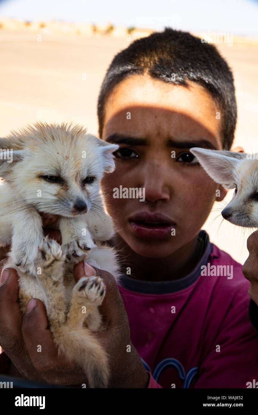 Merzougha, Erg Chebbi, désert du Sahara, le Maroc. Boy holding Fennec Renards Banque D'Images