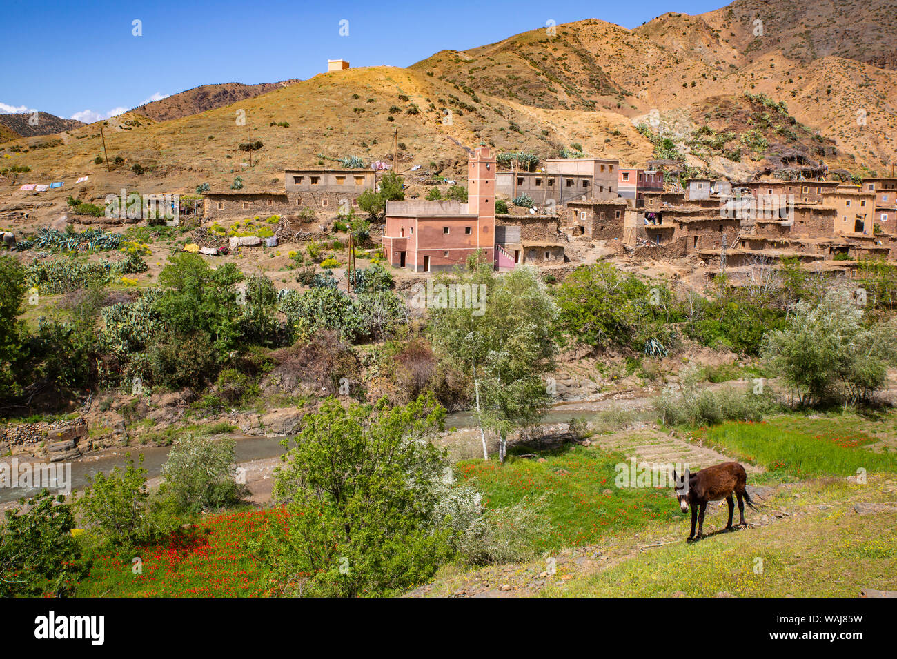 Haut Atlas, Maroc. Village et un âne Banque D'Images
