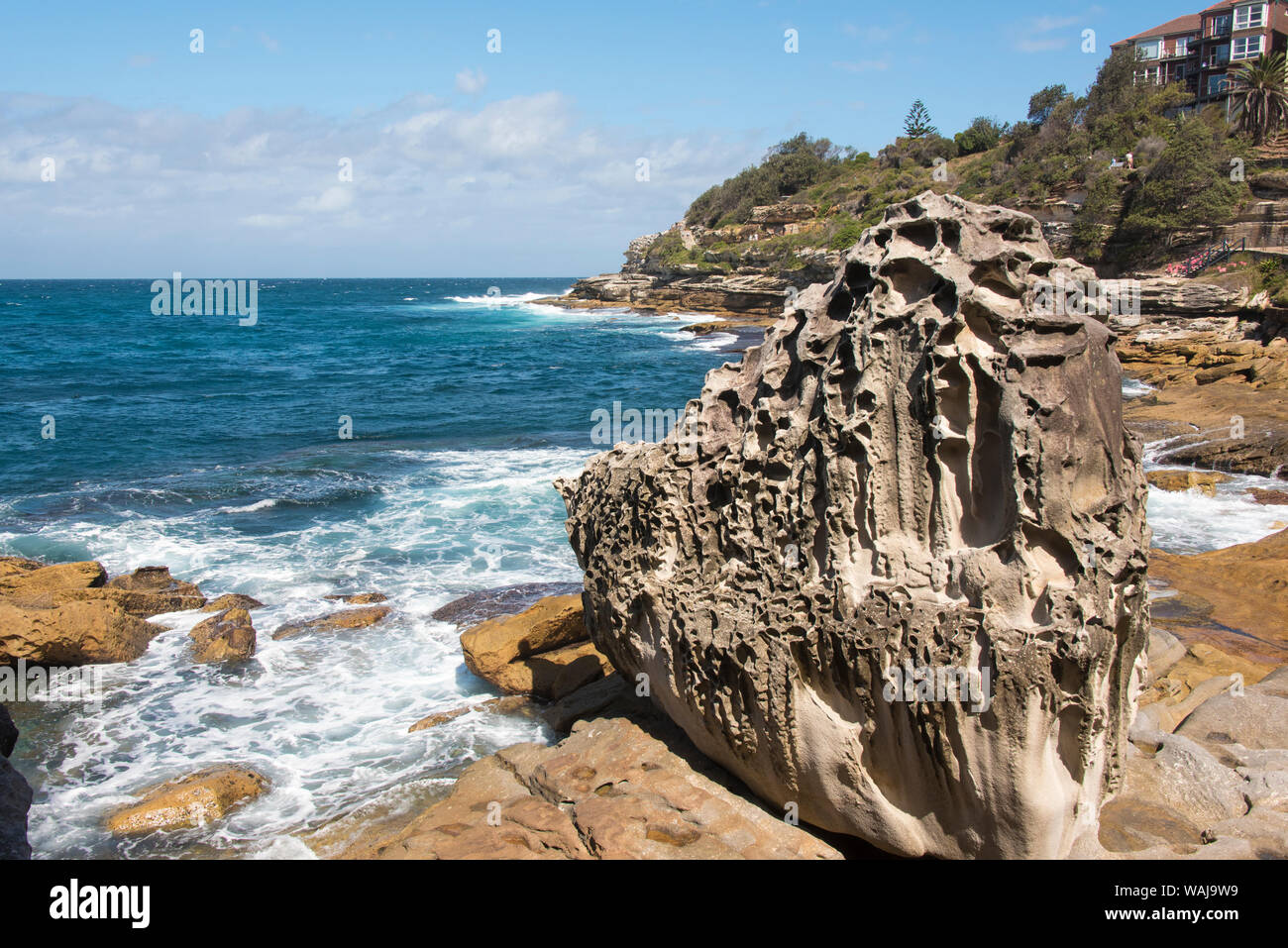 L'Australie, New South Wales, Sydney le long de grès sculpté à Bondi Coogee promenade côtière Banque D'Images