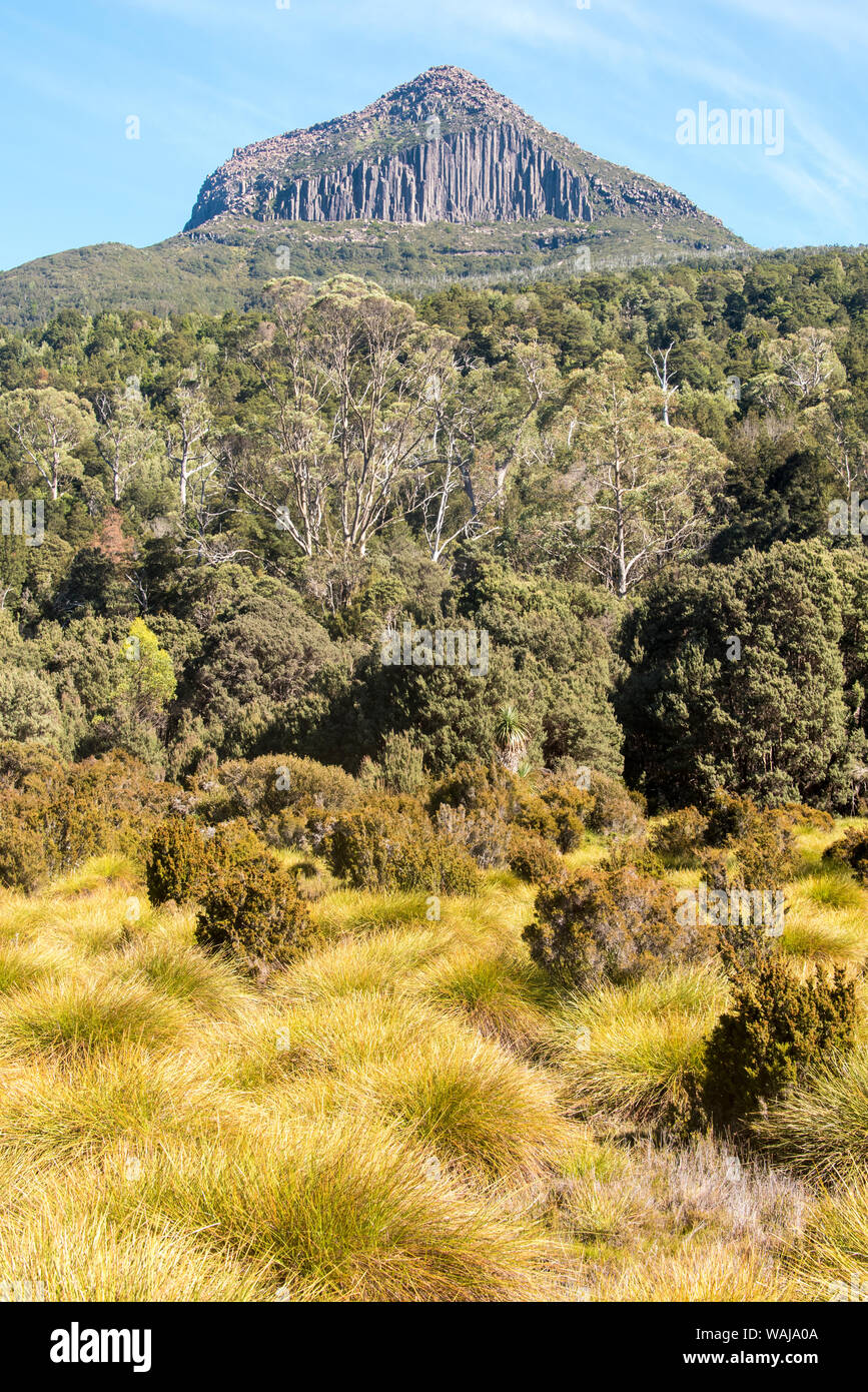 L'Australie, la Tasmanie, Cradle Mountain Lake Sinclair Parc National. La voie terrestre. Plaine de herbe bouton. Le mont Pelion East Banque D'Images