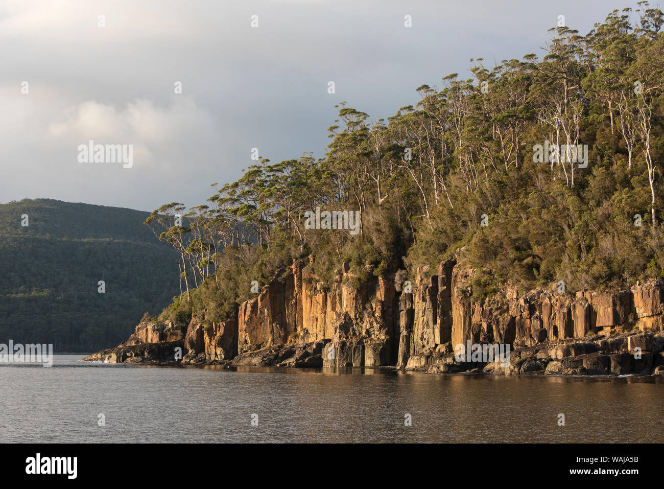L'Australie, la Tasmanie. Tasman National Park. Les colonnes de dolérite entrée de Fortescue et baies en canoë Banque D'Images