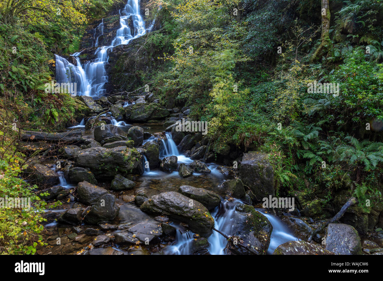 Torc Waterfall dans le Parc National de Killarney, Irlande Banque D'Images