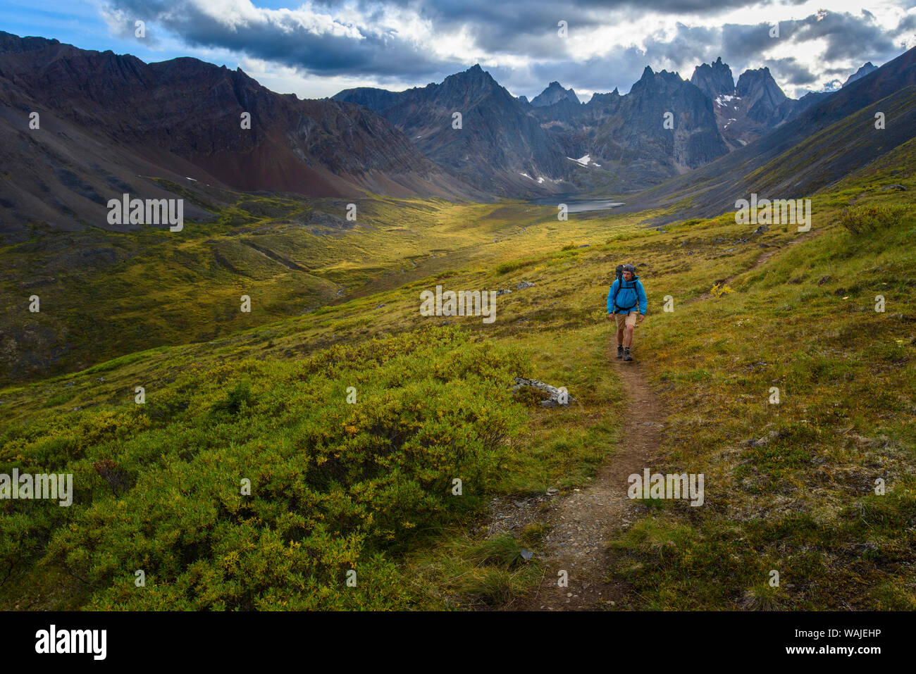 Au Canada, le Yukon, le parc territorial Tombstone. (MR) Banque D'Images