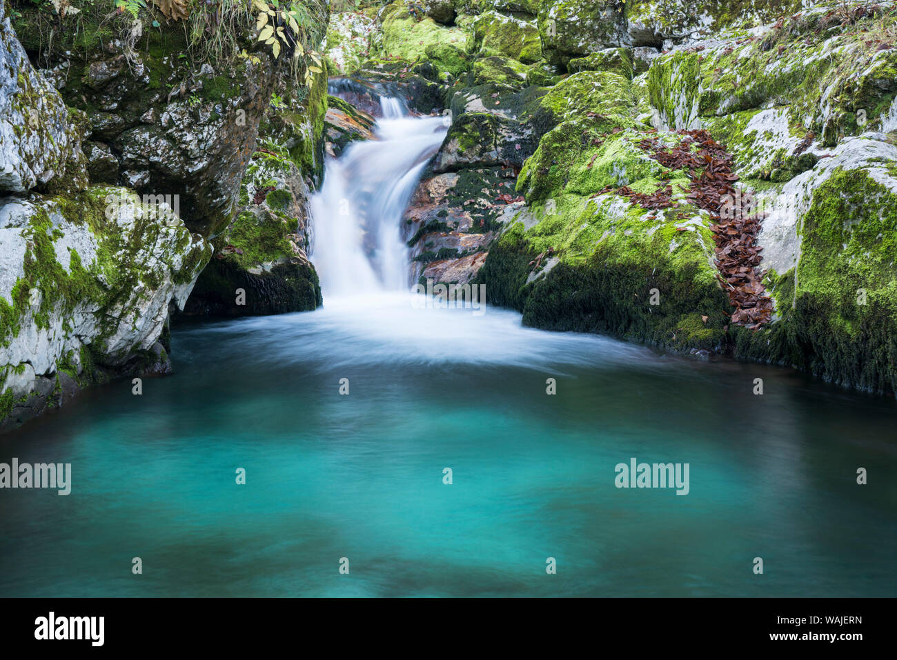 La Slovénie. Petit ruisseau de l'eau pur des montagnes Cascades de roches moussues. Banque D'Images