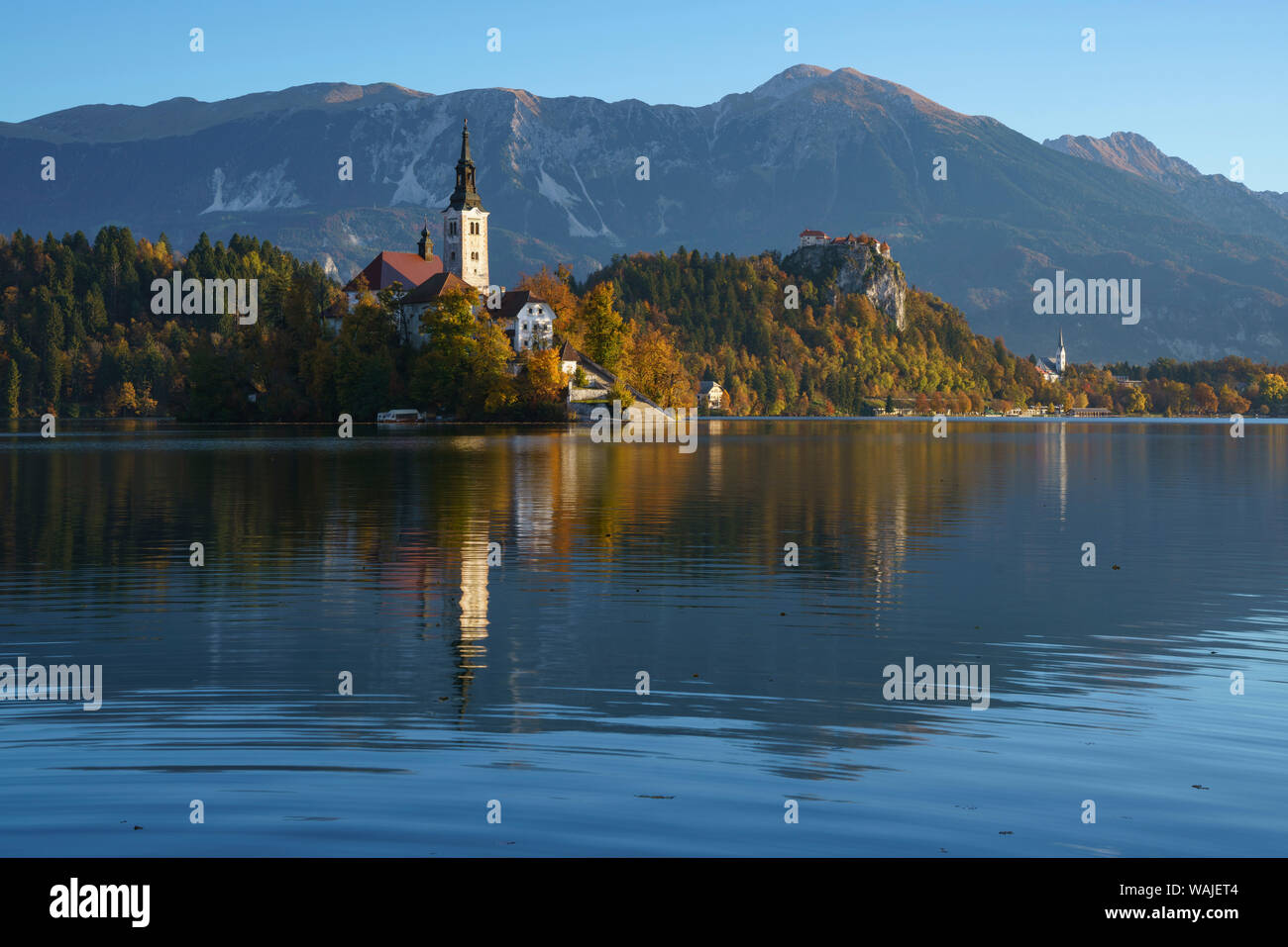 La Slovénie, Bled. L'église de l'assomption de Marie se reflète dans les eaux calmes du lac de Bled sur un matin d'automne. Banque D'Images