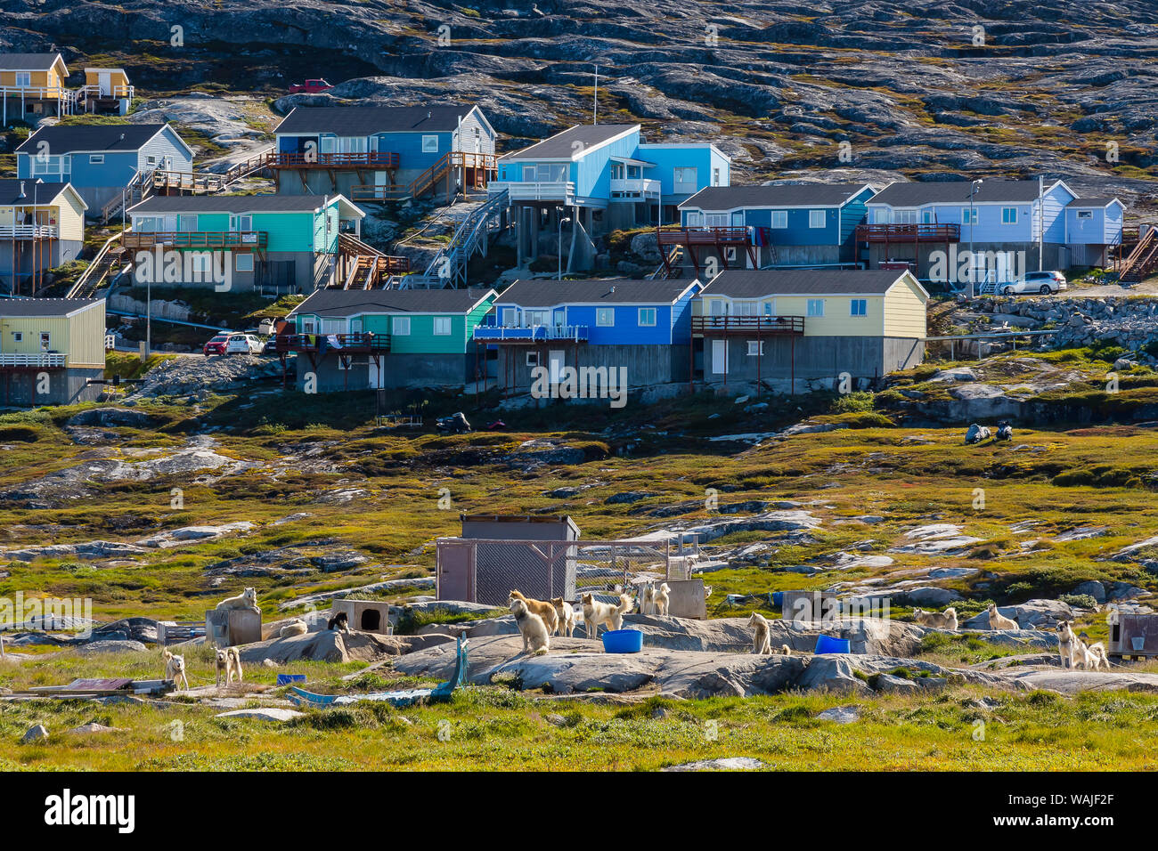 Le Groenland. Ilulissat. Dog Town, où les habitants gardent leurs chiens de traîneau. Banque D'Images