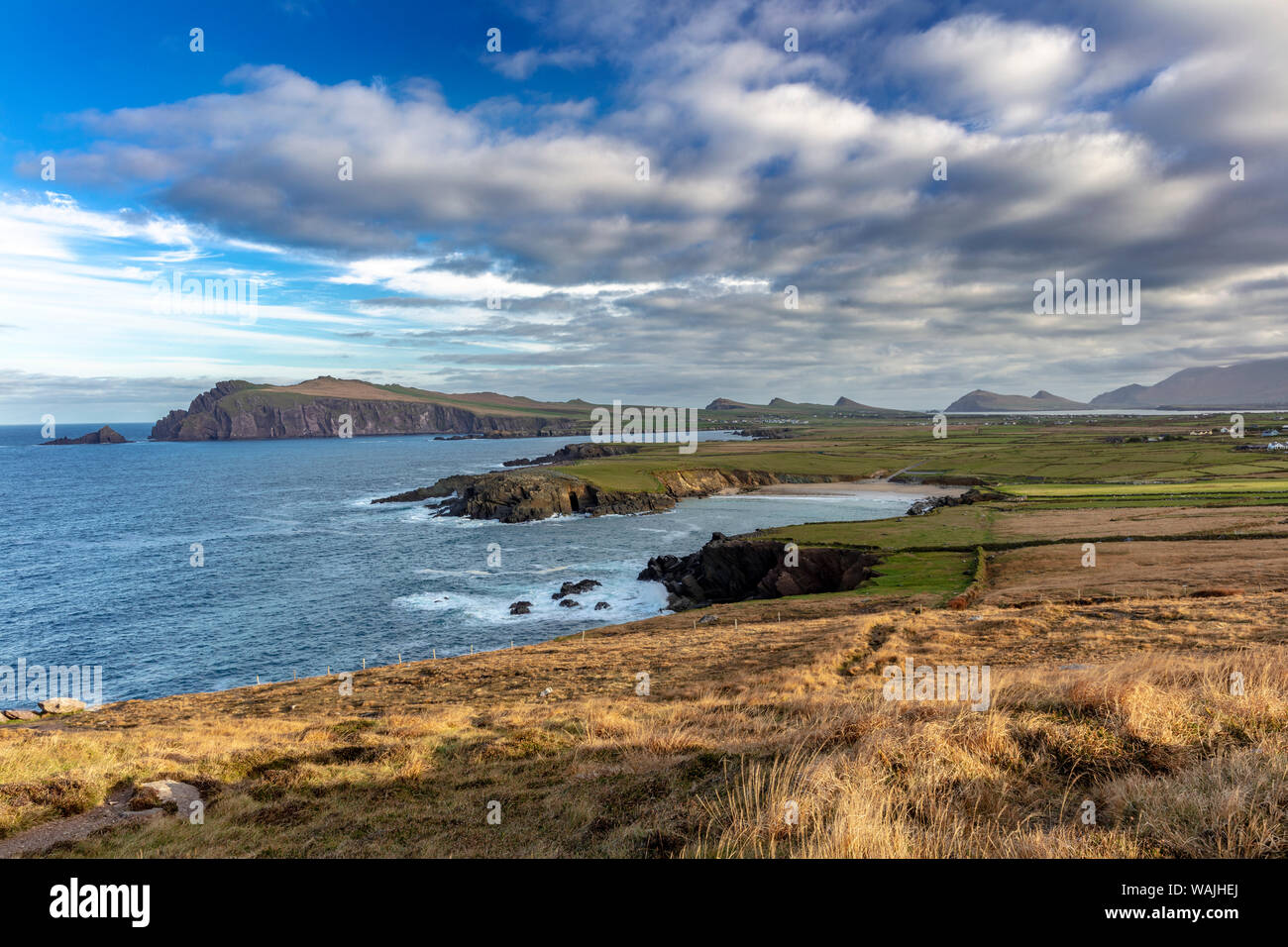 Plages en bord de mer sur Slea Head Drive à Dunquin, Irlande Banque D'Images