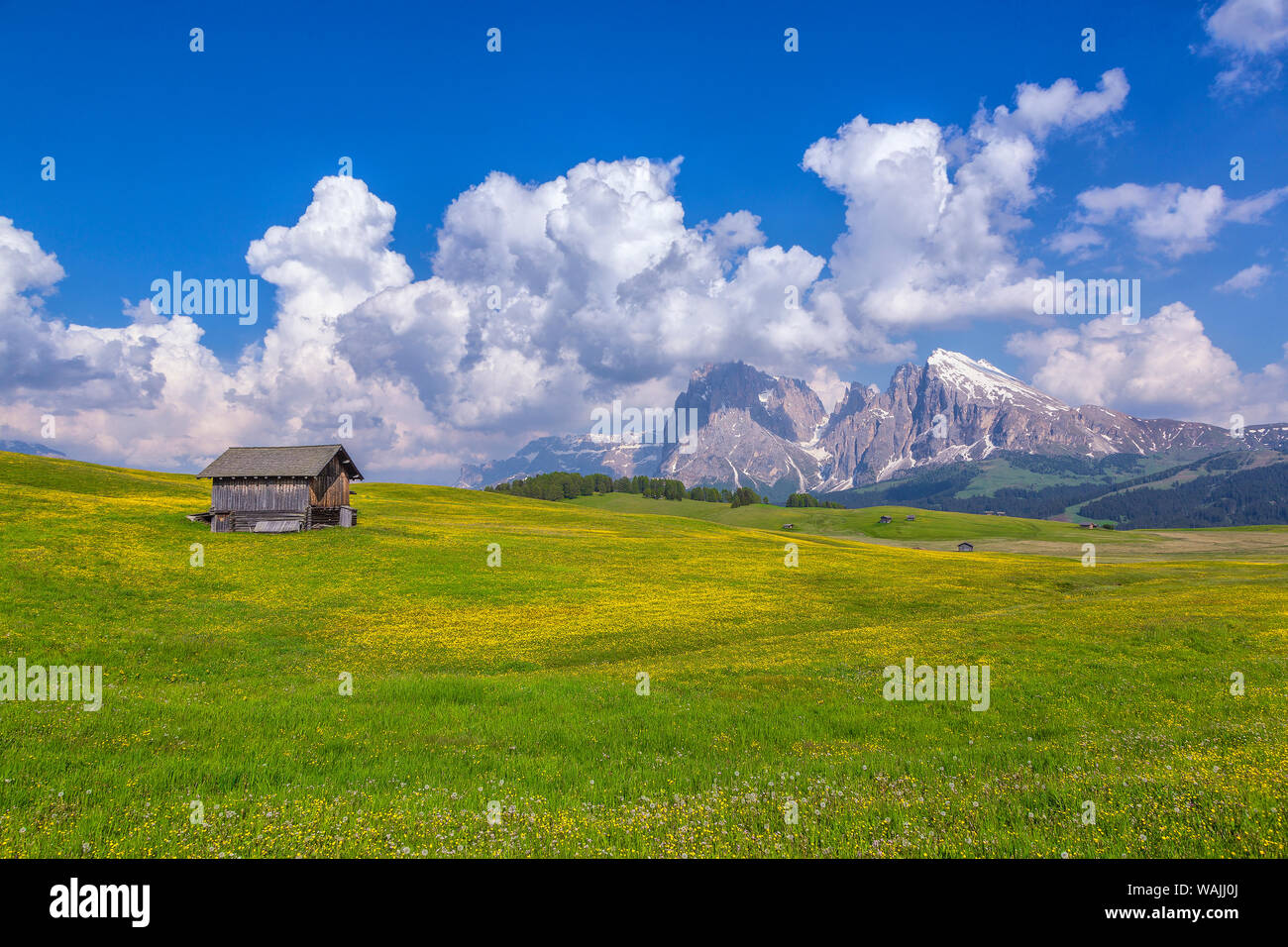 L'Europe, Italie, Dolomites, Tyrol du Sud. Montagnes et hut en prairie. En tant que crédit : Jim Nilsen / Jaynes Gallery / DanitaDelimont.com Banque D'Images