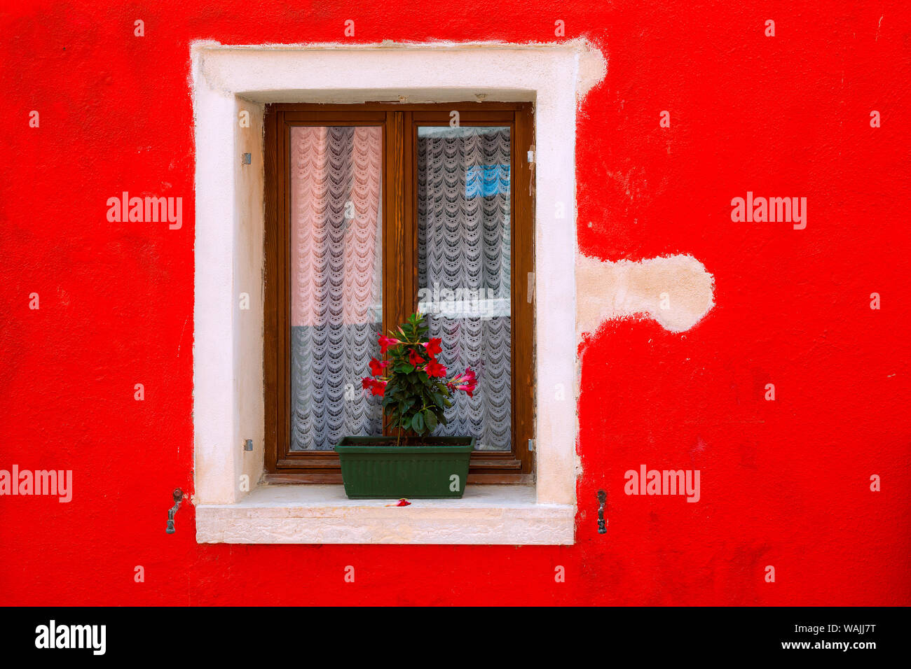 L'Italie, de Burano. Chambre coloré mur et fenêtre. En tant que crédit : Jim Nilsen / Jaynes Gallery / DanitaDelimont.com Banque D'Images