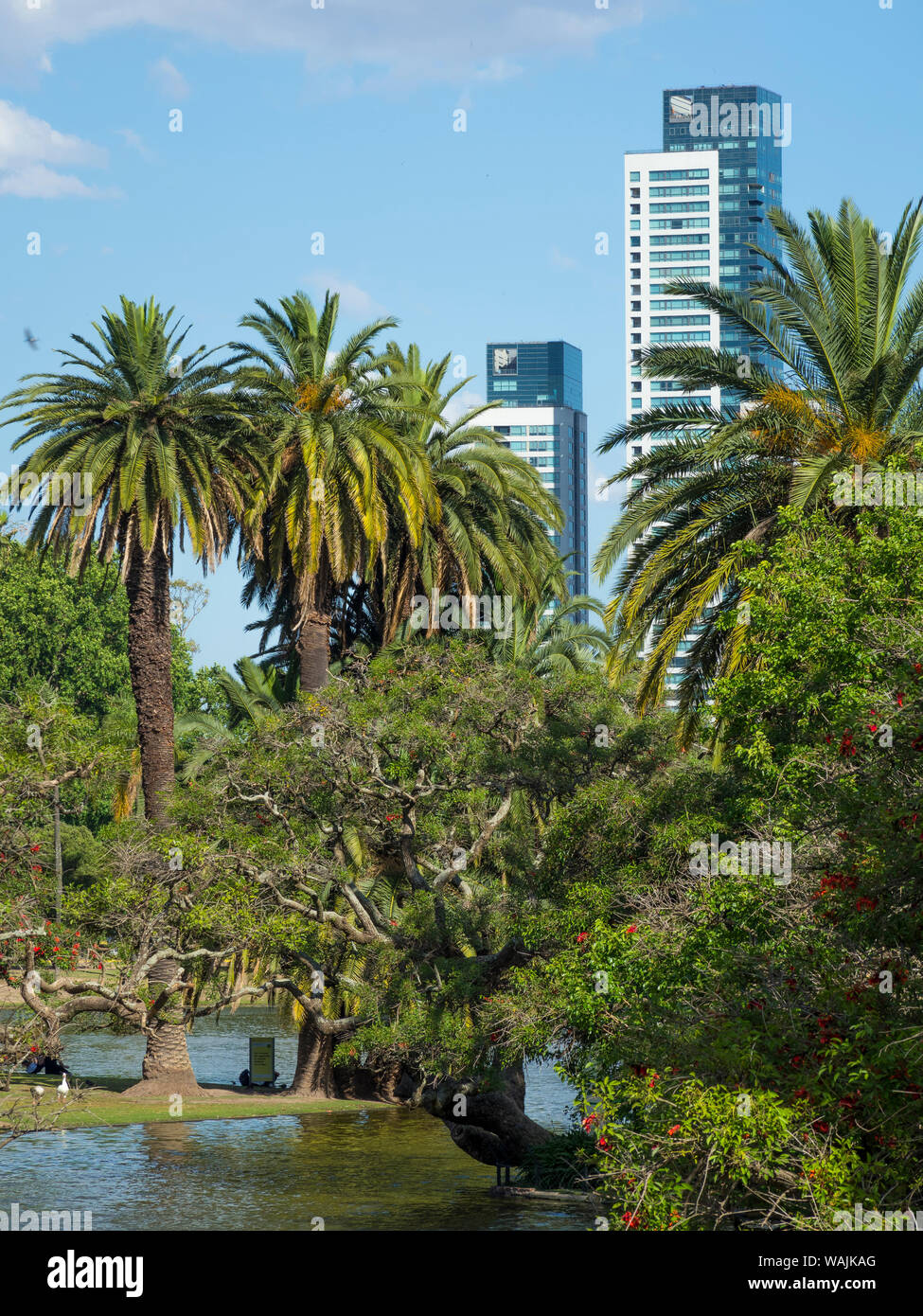 Parc bois de Palermo. Buenos Aires, capitale de l'Argentine. Banque D'Images