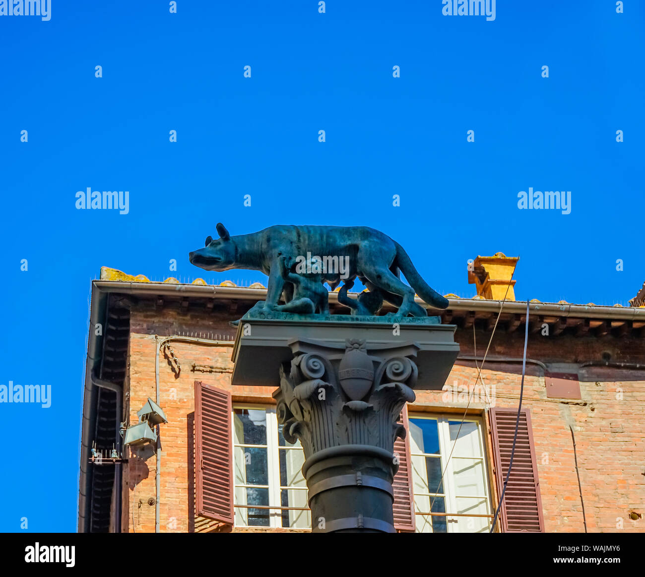 Statue de loup du Capitole, Place de la Cathédrale, Sienne, Italie. Romulus et Remus, symboles de l'ancienne Rome. Banque D'Images