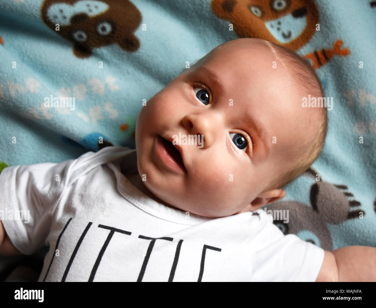 5 mois bébé garçon (MR) Banque D'Images