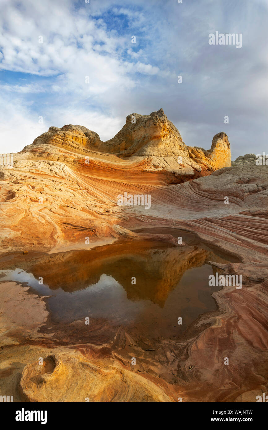 USA, Arizona, Vermilion Cliffs National Monument. Stries dans des formations de grès. En tant que crédit : Don Grall / Jaynes Gallery / DanitaDelimont.com Banque D'Images