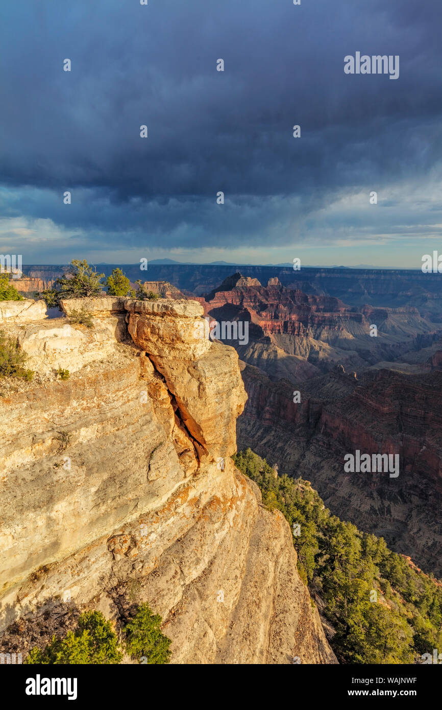 Vue de Bright Angel Point sur la rive nord du Parc National du Grand Canyon, Arizona, USA Banque D'Images