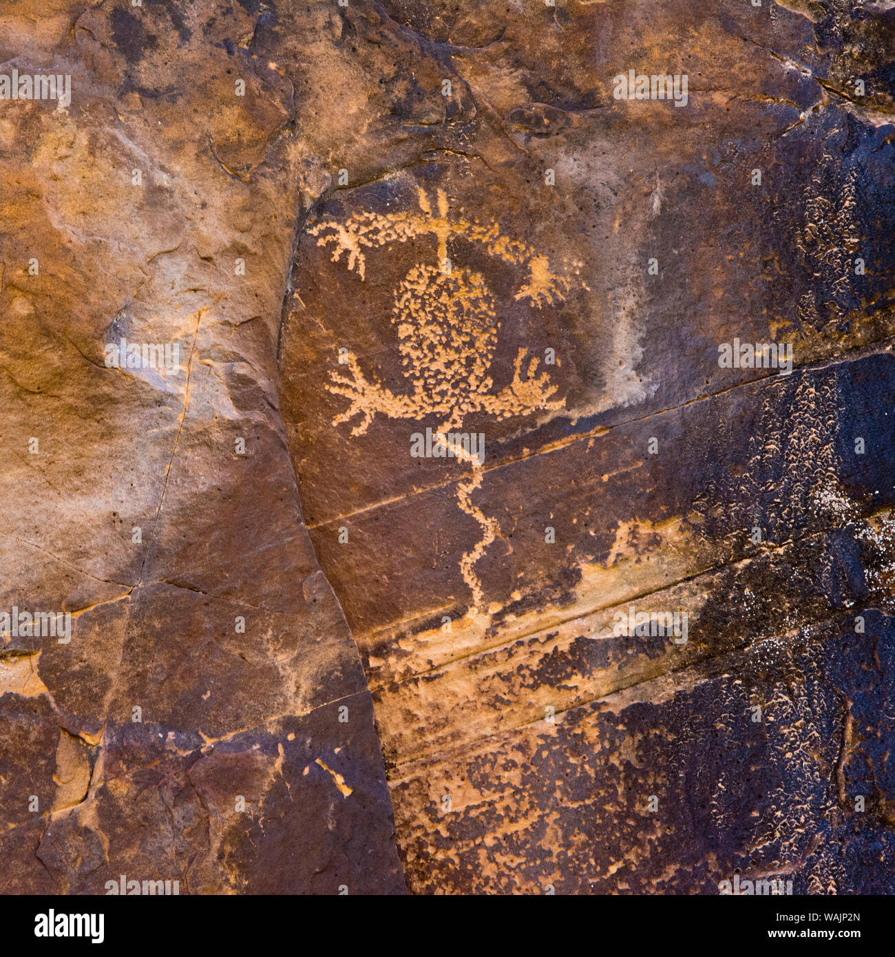 Petroglyph, Art Rock Ranch, près de Holbrook, Arizona, USA. Banque D'Images