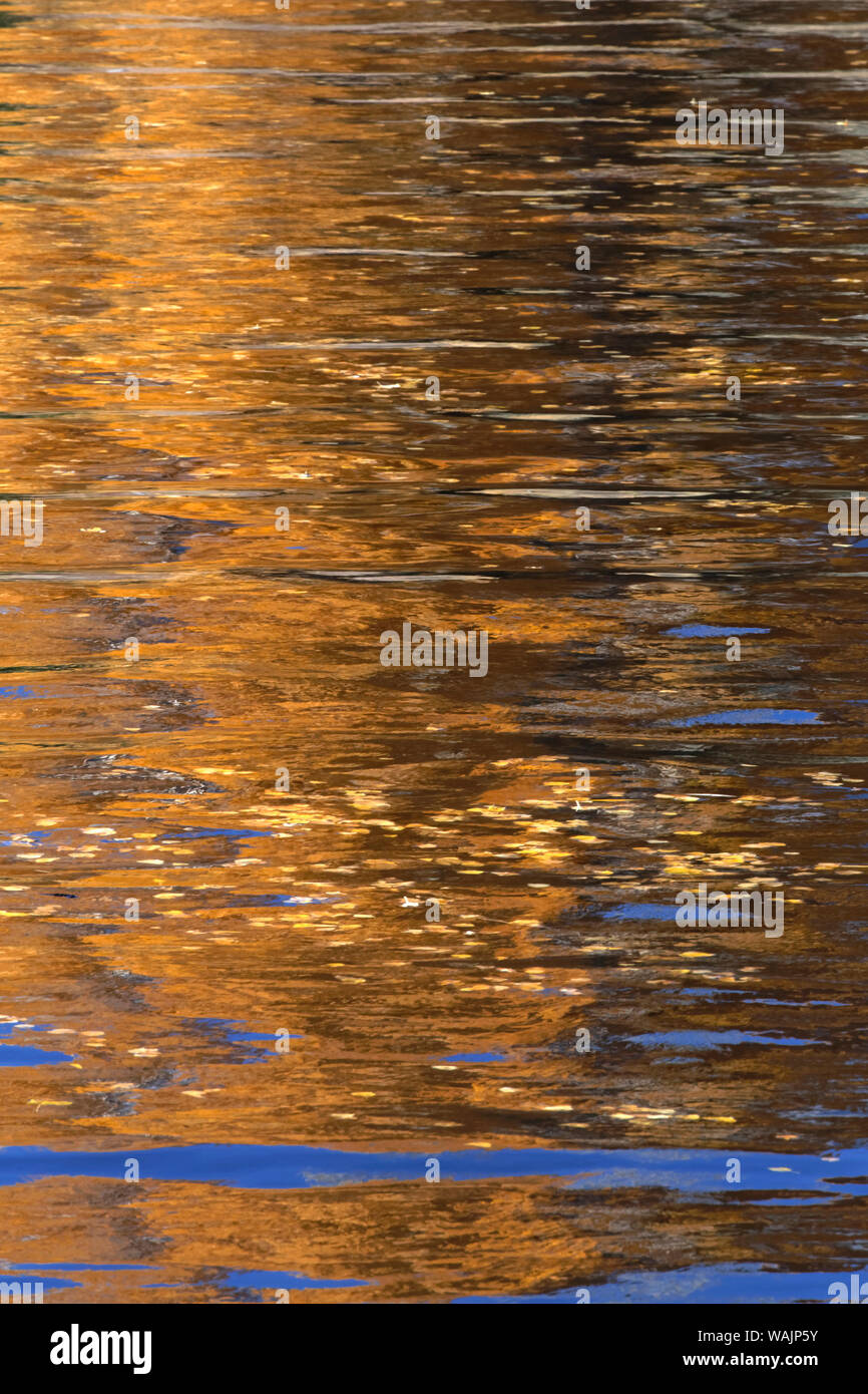 États-unis, Californie, la Sierra Nevada. Bishop Creek reflète les couleurs de l'automne. En tant que crédit : Dennis Flaherty / Jaynes Gallery / DanitaDelimont.com Banque D'Images