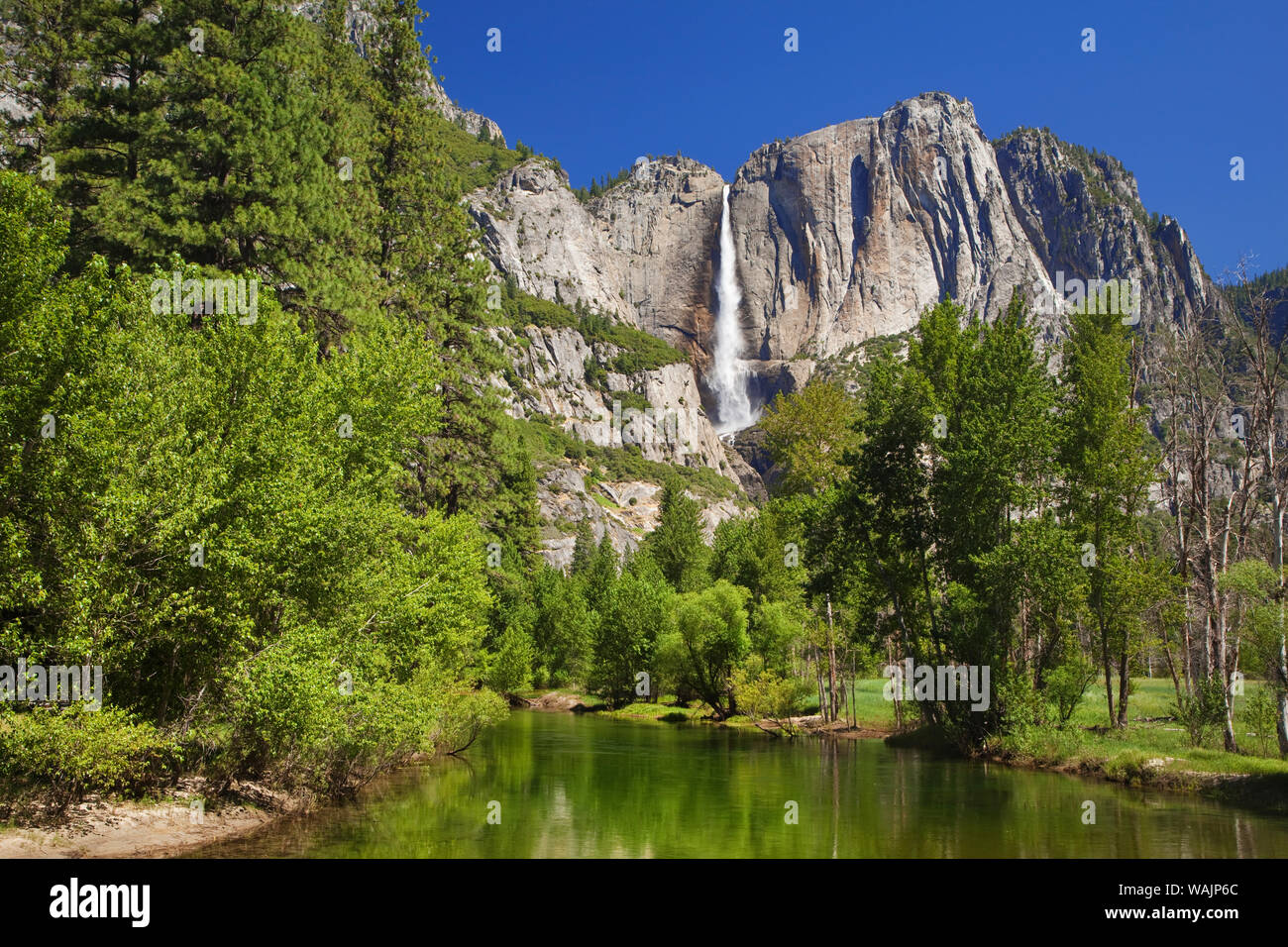États-unis, Californie, le Parc National Yosemite. Yosemite Falls et Merced River paysage. En tant que crédit : Dennis Flaherty / Jaynes Gallery / DanitaDelimont.com Banque D'Images
