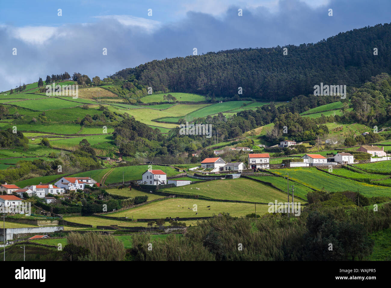 Le Portugal, Açores, l'île de Terceira, Quatro Ribeiras. Vue sur Ville élevée Banque D'Images