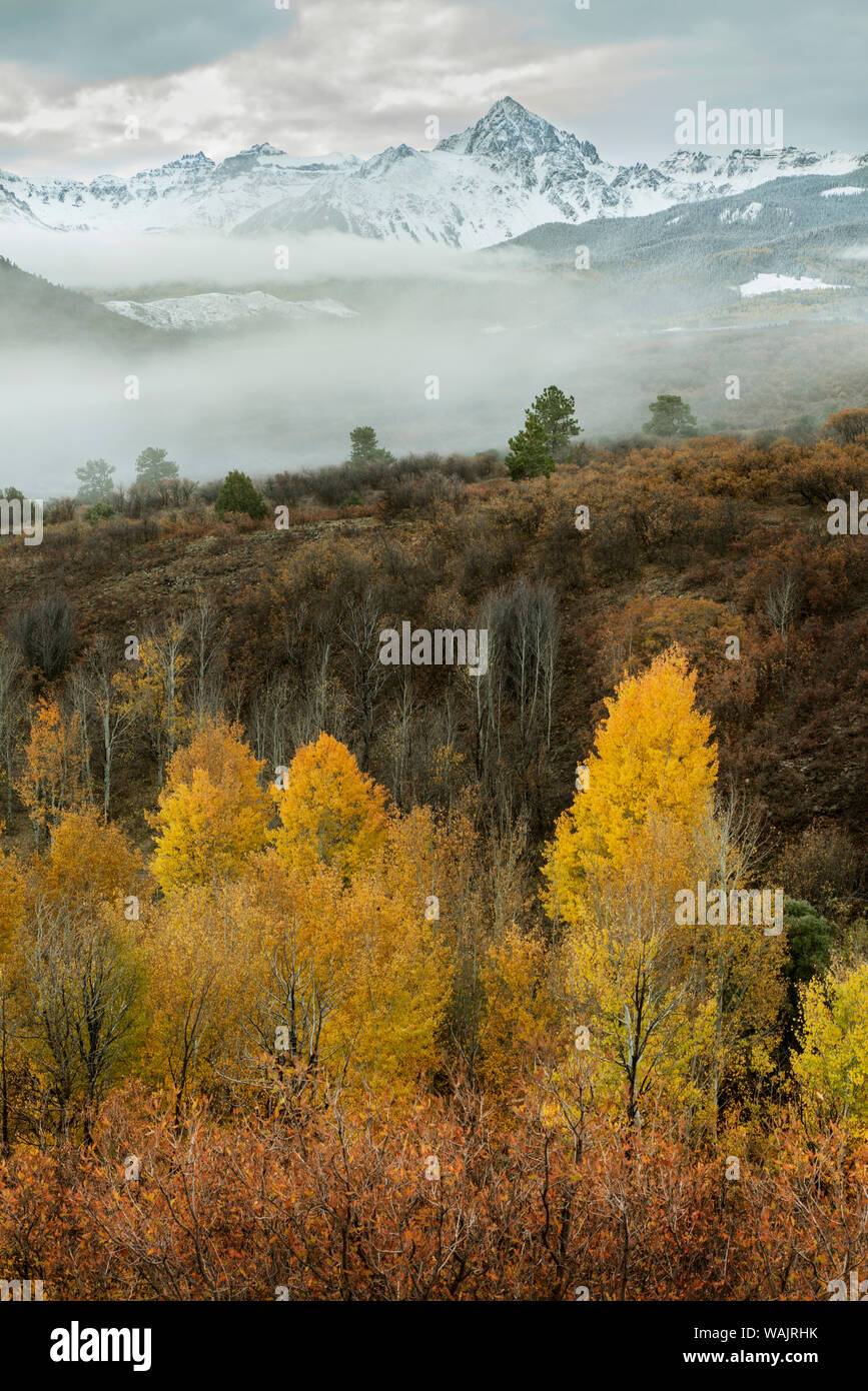 USA, Californie, San Juan Mountains. Matin brouillard sur paysage de montagnes et de forêts. En tant que crédit : Don Grall / Jaynes Gallery / DanitaDelimont.com Banque D'Images