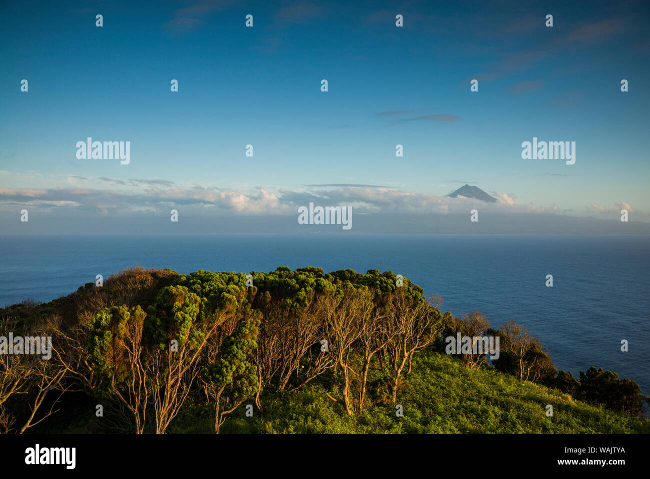 Portugal, Azores, Ponta dos Rosais. Paysage à la pointe ouest de l'île de Sao Jorge Banque D'Images