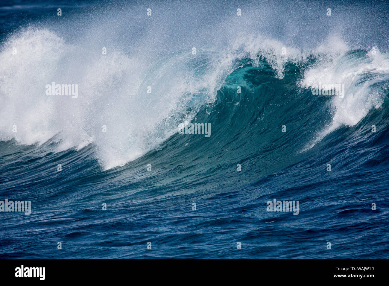 Maui, Hawaii. Les vagues qui arrivent à Ho'okipa Beach Park Banque D'Images